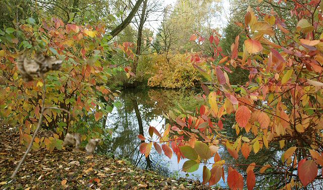Herbst im Park