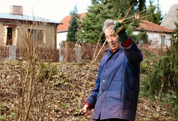 http://robert-koch-park.de/2011/03/ansichtssache-fruhjahrsputz-im-park/