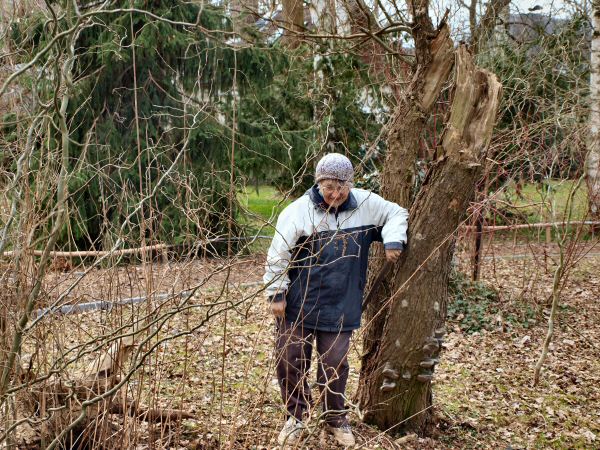 http://robert-koch-park.de/2011/03/ansichtssache-fruhjahrsputz-im-park/