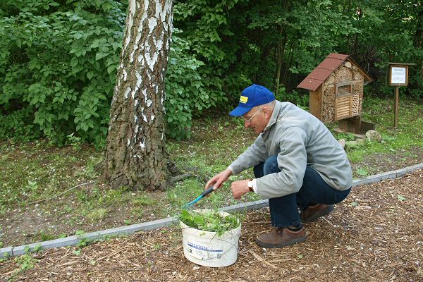 http://robert-koch-park.de/2011/06/maide-im-park/