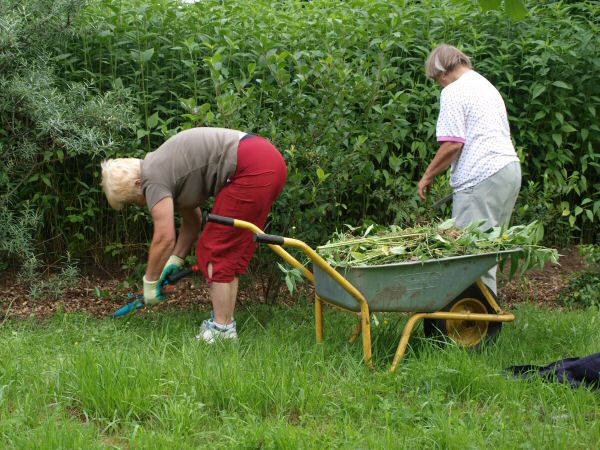http://robert-koch-park.de/2011/06/juni-kampfer/